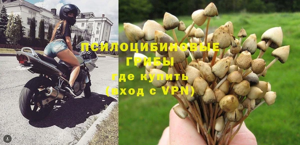 трава Волоколамск