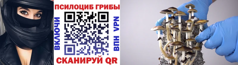 Псилоцибиновые грибы мухоморы  продажа наркотиков  ОМГ ОМГ зеркало  Ленинградская 