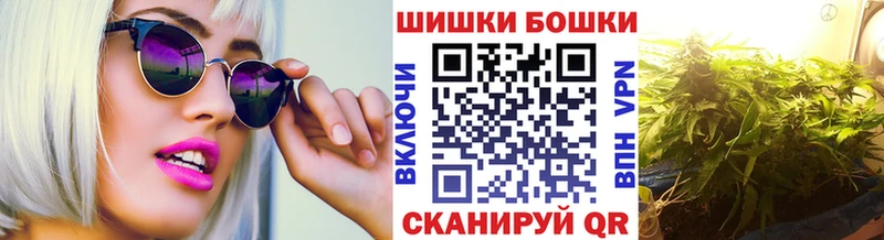 Конопля индика  Ленинградская 